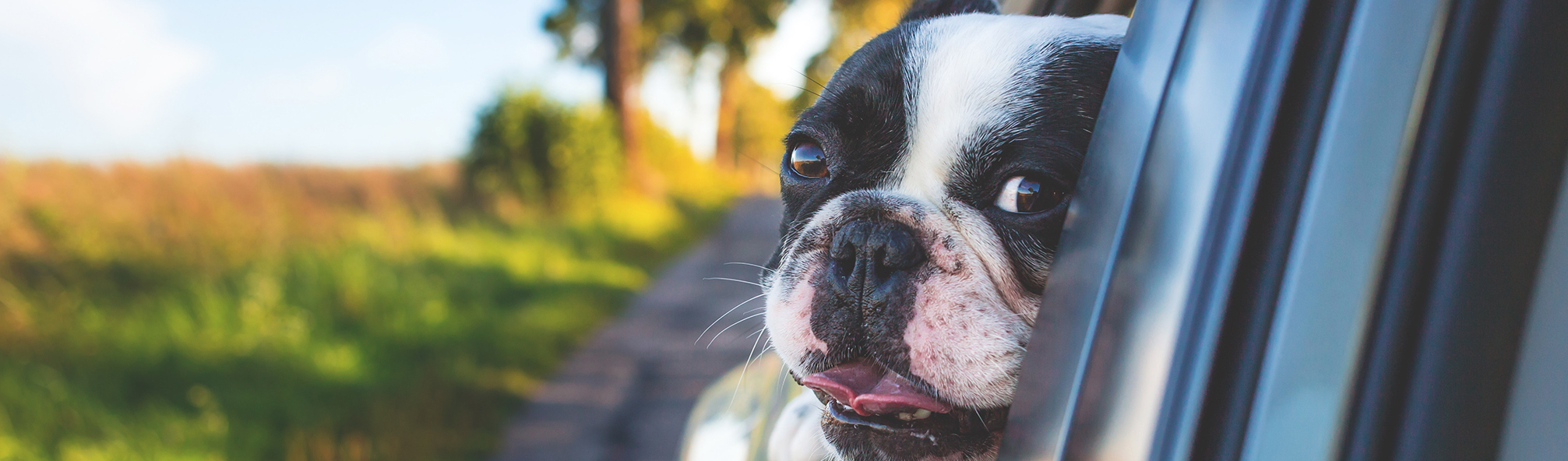 used cars Portsmouth NH