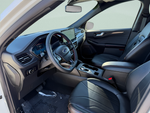 2025 Ford Escape ST-Line Elite
