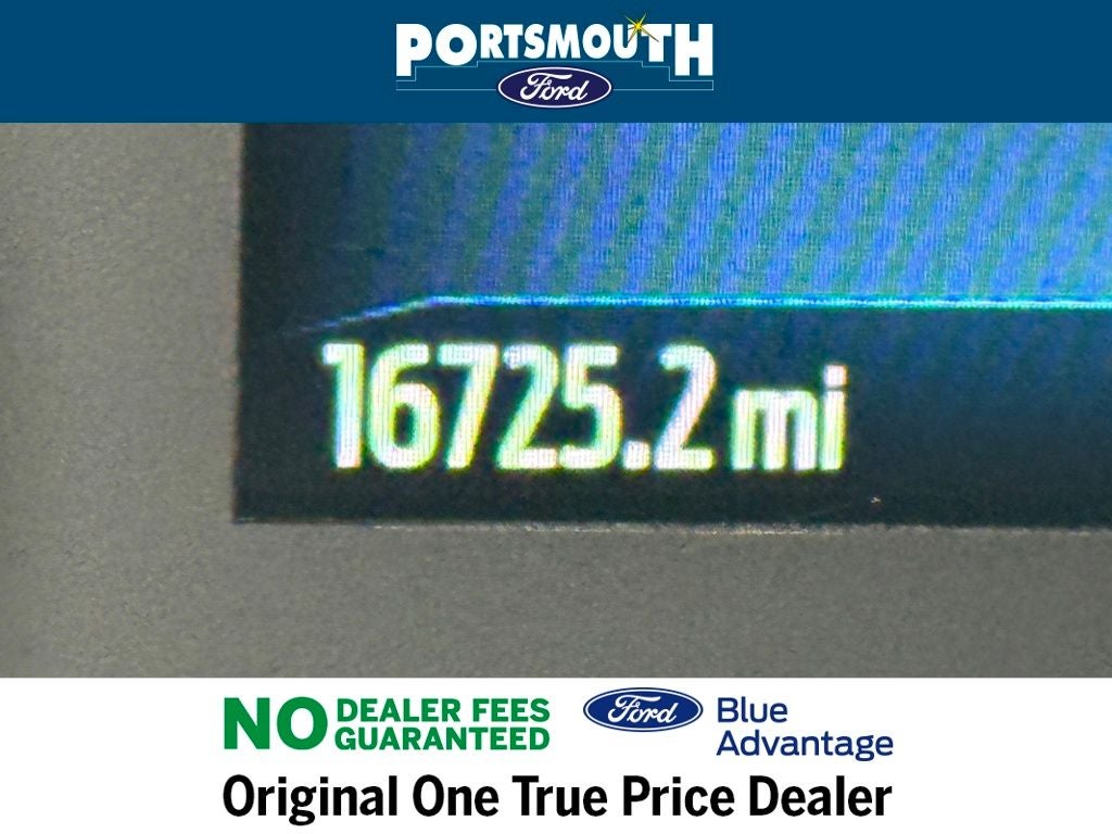 2024 Ford F-250 XL Regular Cab