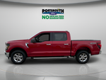2025 Ford F-150 XLT Crew Cab