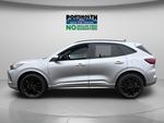 2024 Ford Escape ST-Line Elite