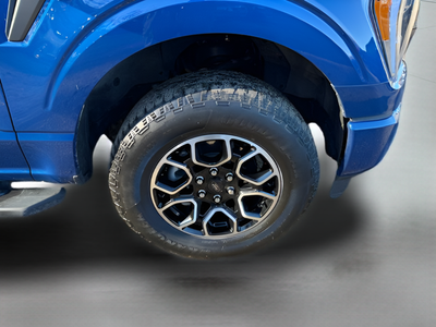2023 Ford F-150 XLT Crew Cab