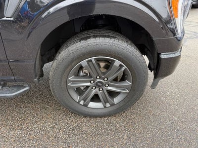 2023 Ford F-150 XLT Crew Cab