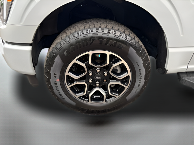 2023 Ford F-150 Crew Cab