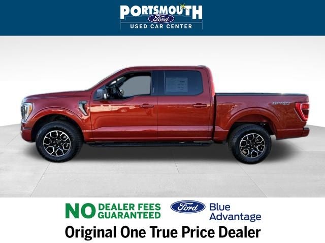 2023 Ford F-150 XLT Crew Cab