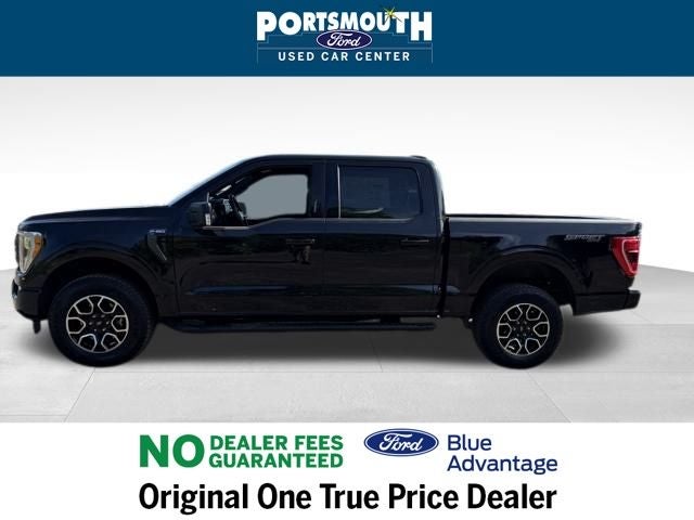 2023 Ford F-150 XLT Crew Cab