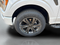 2023 Ford F-150 XLT Crew Cab