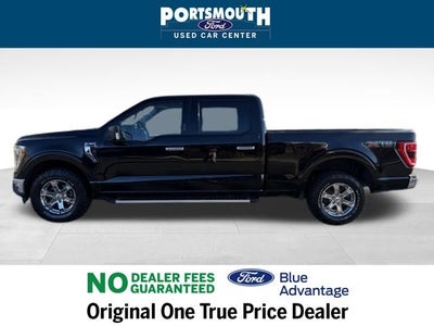 2023 Ford F-150 XLT Crew Cab
