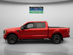 2023 Ford F-150 XLT Crew Cab